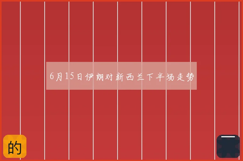 6月15日伊朗对新西兰下半场走势